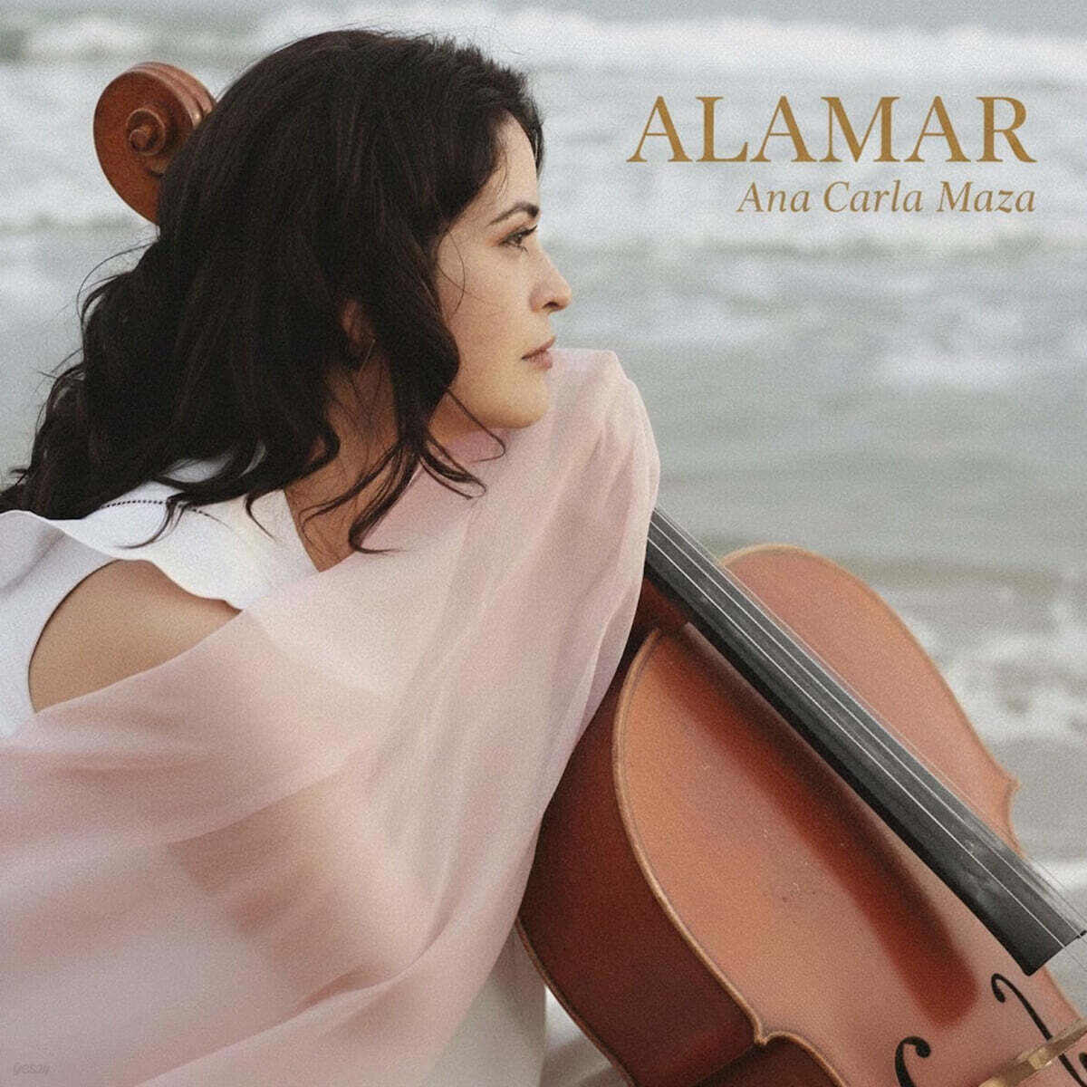 Ana Carla Maza (아나 카를라 마자) - Alamar [LP]