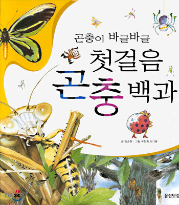 곤충이 바글바글 첫걸음 곤충백과