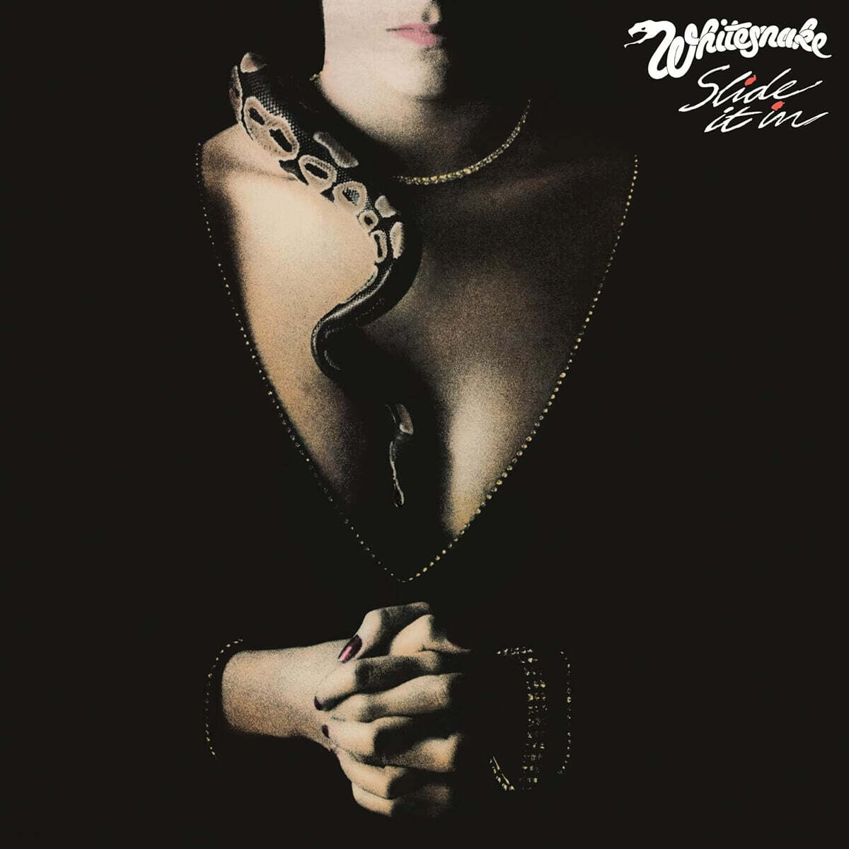 Whitesnake (화이트 스네이크) - Slide It In [LP]