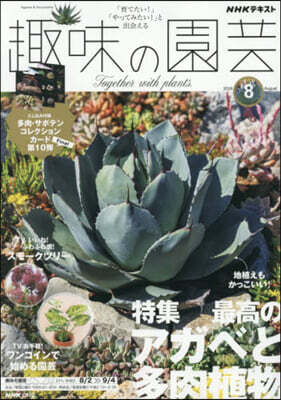 NHK 趣味の園芸 2026年8月號