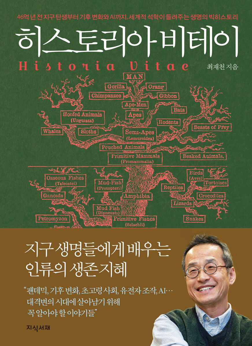 히스토리아 비테이
