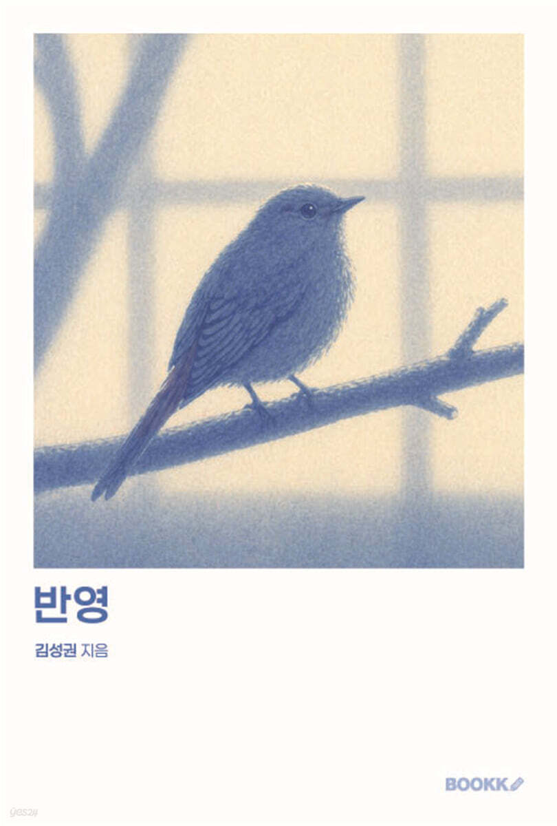 반영