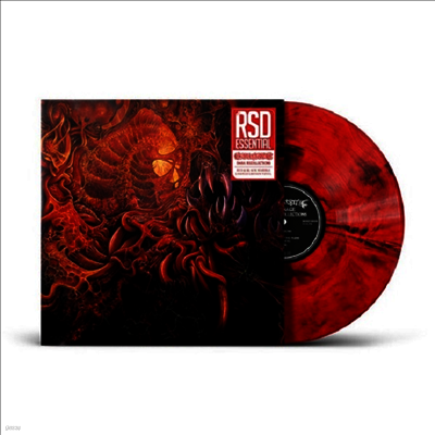 Carnage — Dark Recollections (Indie Exclusive) 앨범 커버
