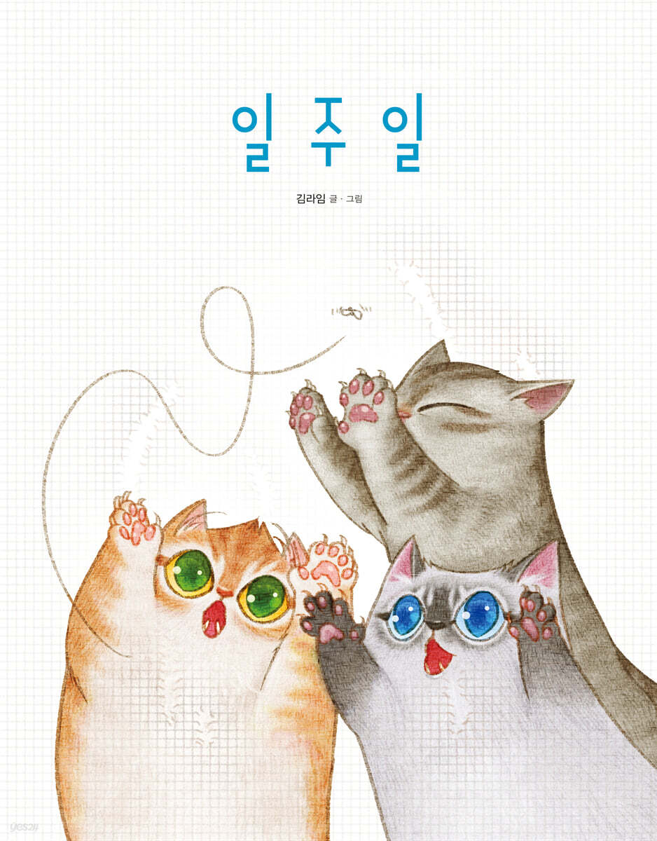 일주일