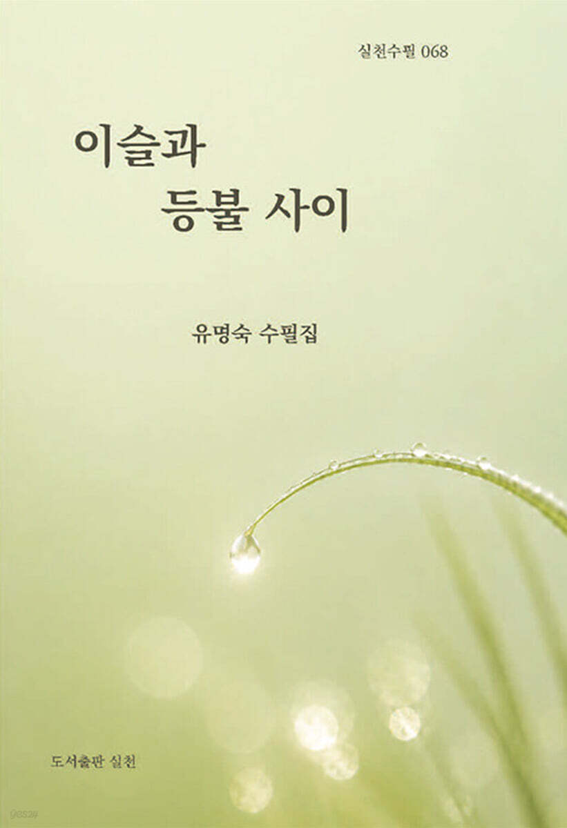 이슬과 등불 사이