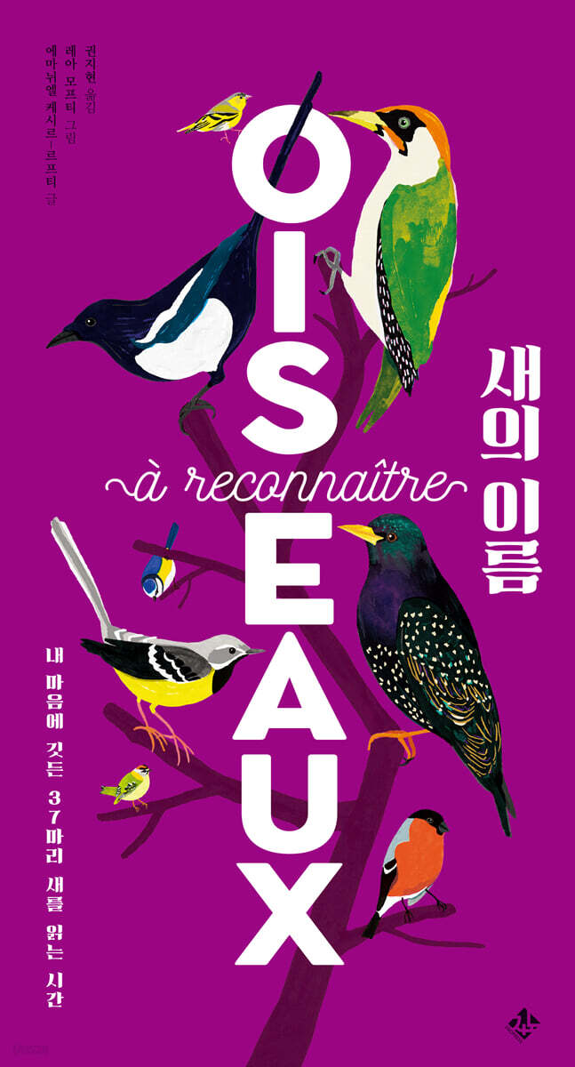 새의 이름