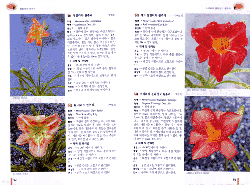 한국의 화훼원예식물