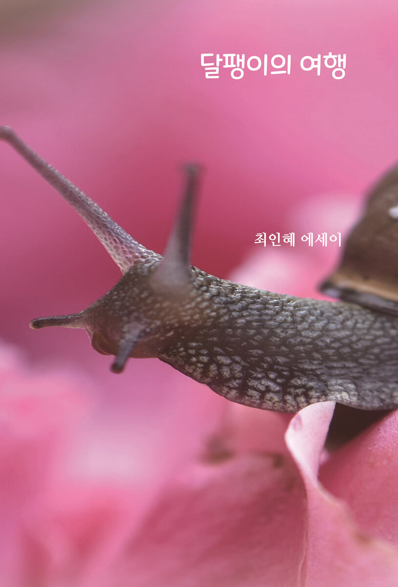달팽이의 여행