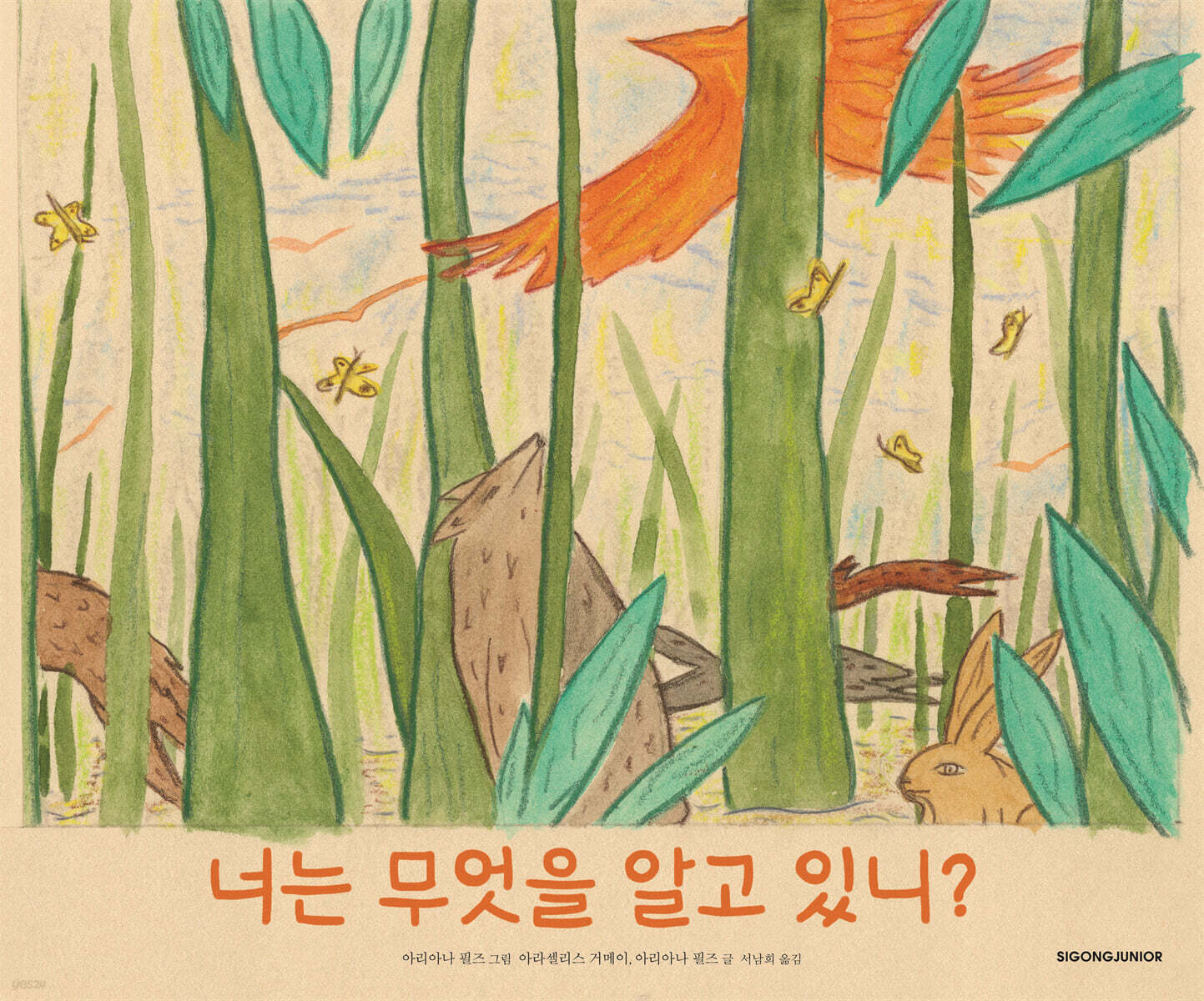 너는 무엇을 알고 있니?