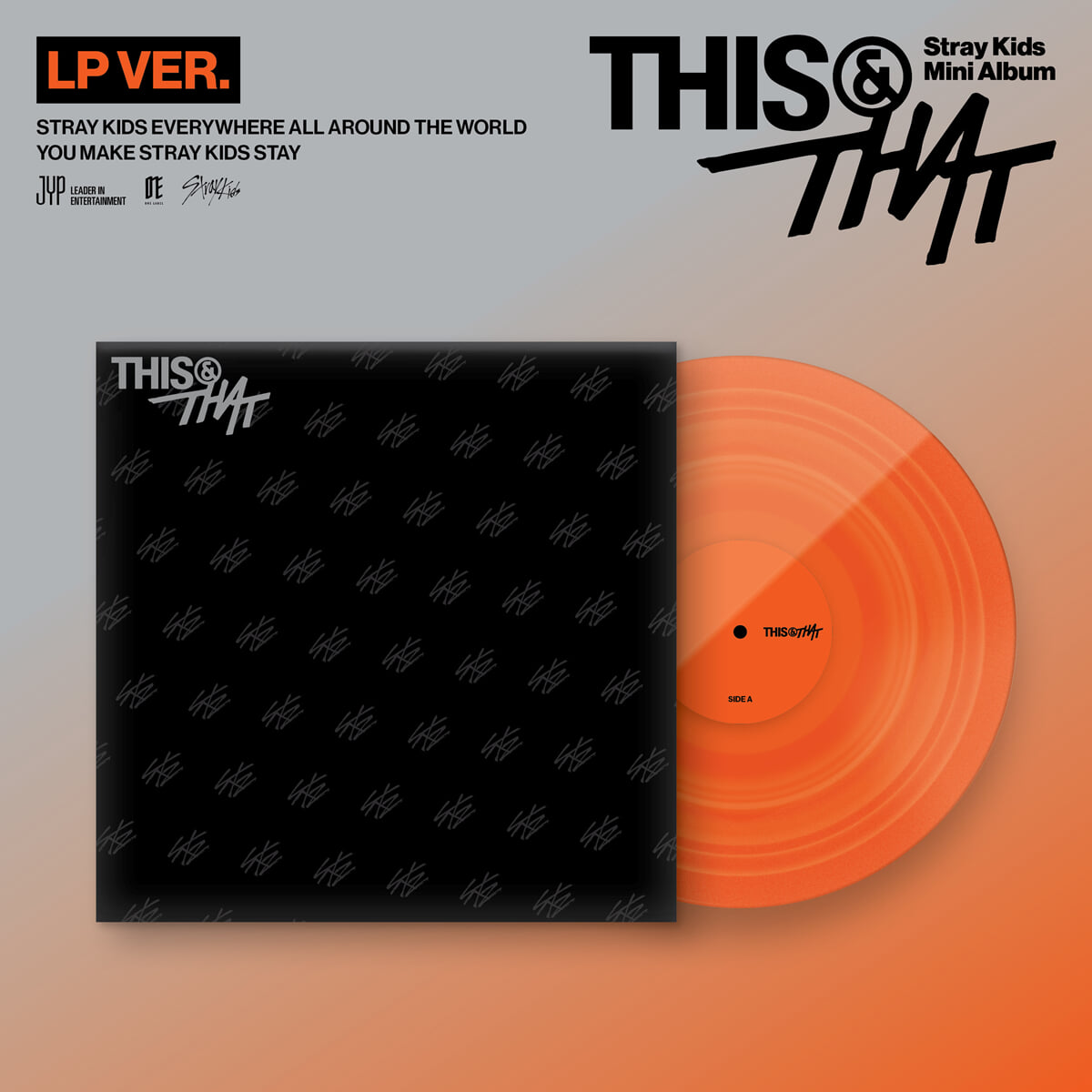 스트레이 키즈 (Stray Kids) - THIS & THAT [LP VER.]