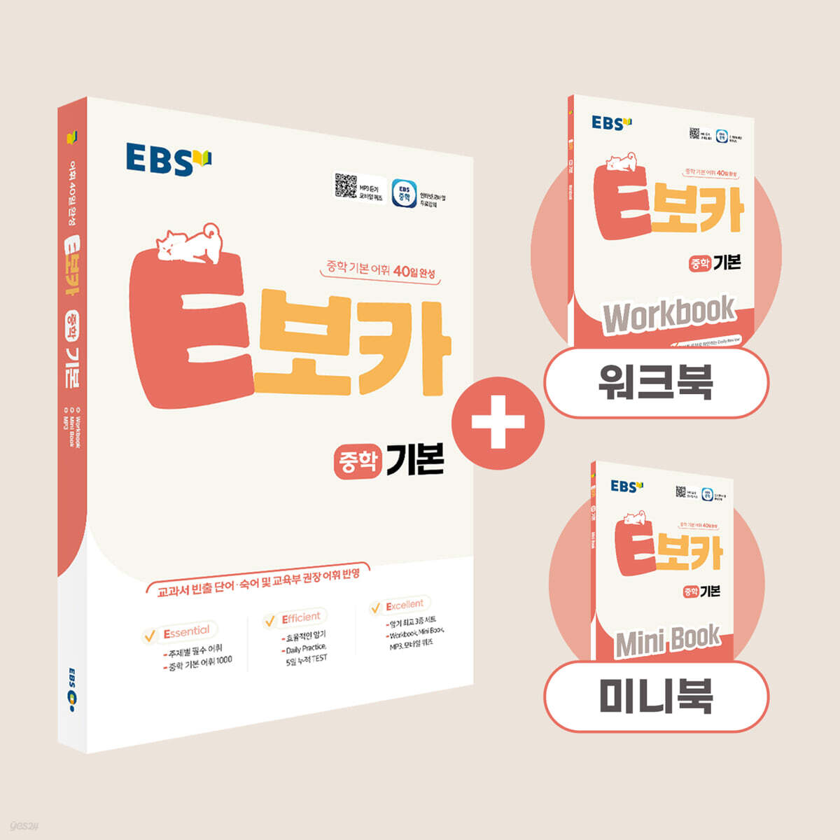 EBS E보카 중학 기본