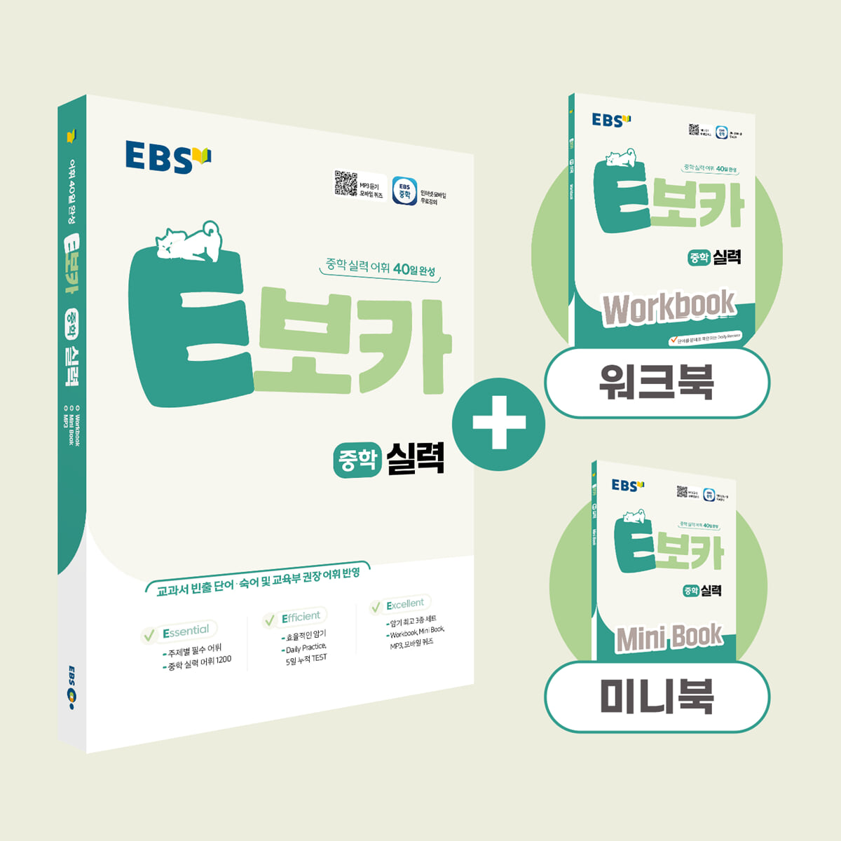 EBS E보카 중학 실력