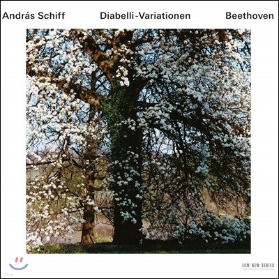 Andras Schiff 亥: ƺ ְ, ǾƳ ҳŸ 32, 6 ٰ (Beethoven : Diabelli Variations)