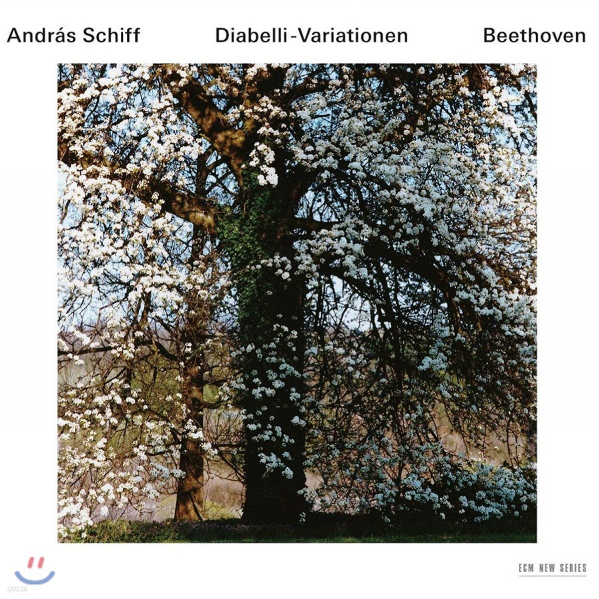 Andras Schiff 베토벤: 디아벨리 변주곡, 피아노 소나타 32번, 6개의 바가텔 (Beethoven : Diabelli Variations)