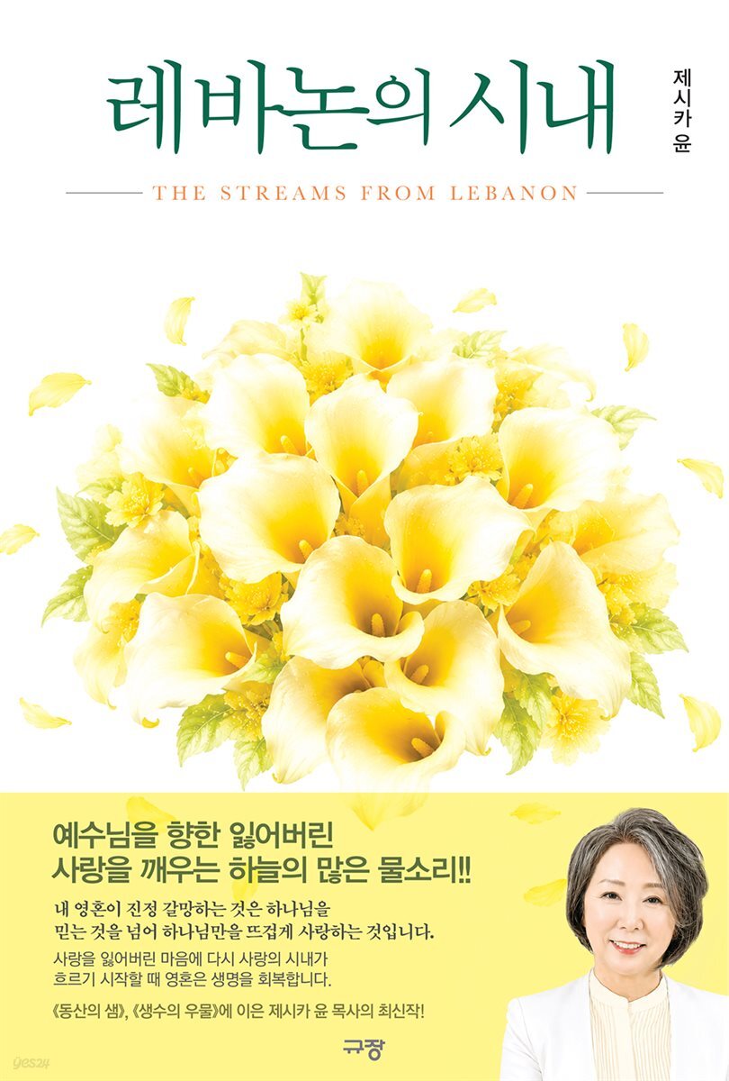 레바논의 시내