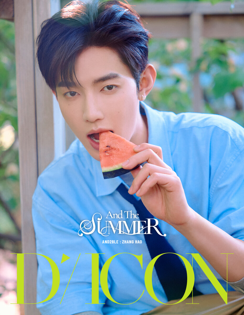 DICON VOLUME N°35 AND2BLE AND THE SUMMER A-TYPE 1. ZHANG HAO