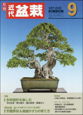 月刊近代盆栽 2026年9月號