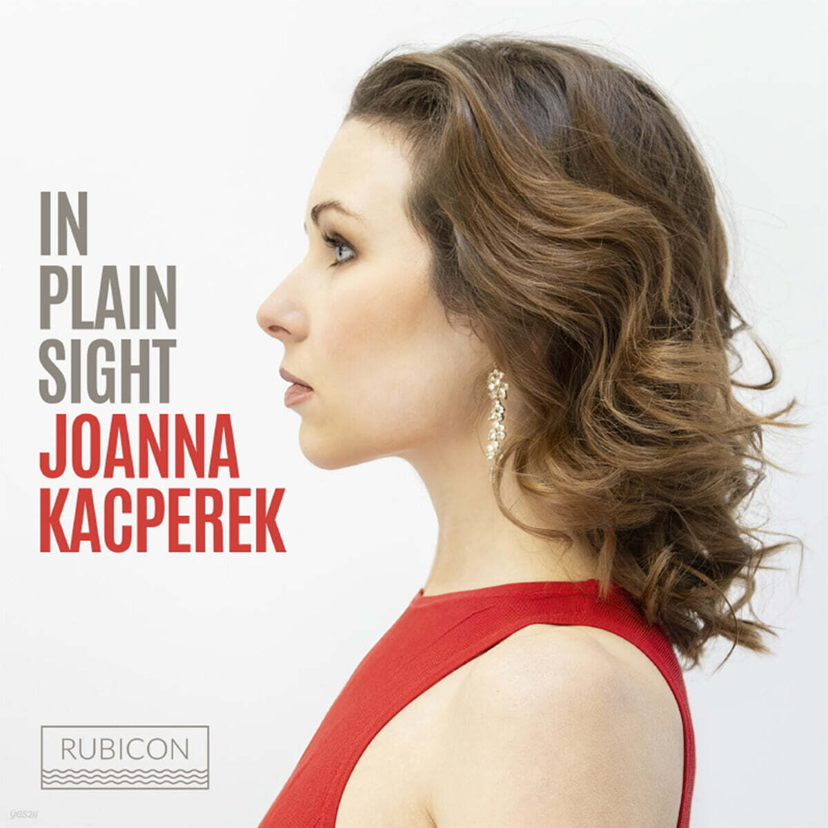 Joanna Kacperek (요안나 카츠페렉) - In Plain Sight (눈 앞의 발견)