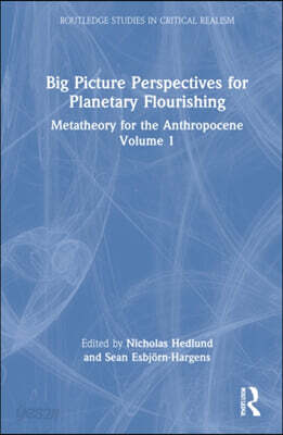 Big Picture Perspectives on Planetary Flourishing