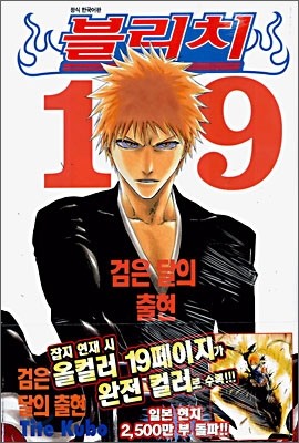 블리치 BLEACH 19