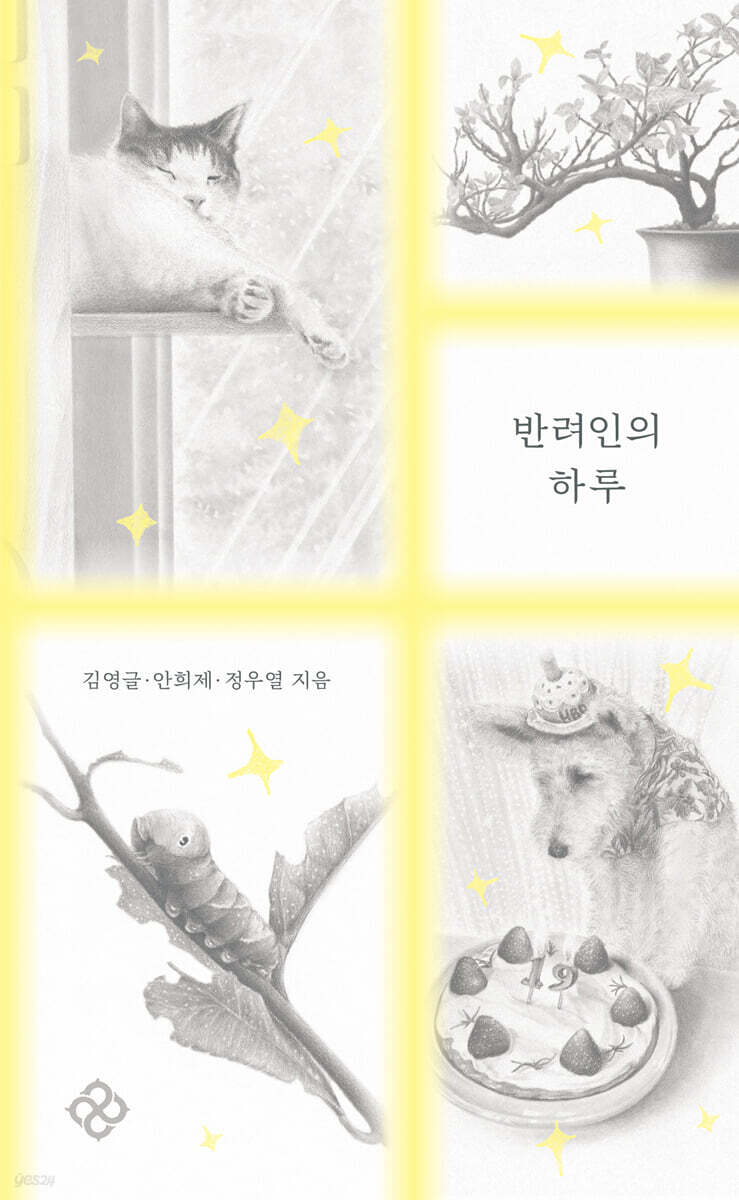 반려인의 하루
