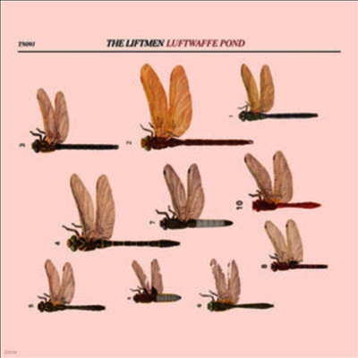 Liftmen — Luftwaffe Pond 앨범 커버