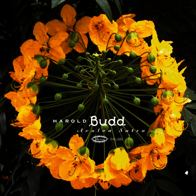 Harold Budd — Avalon Sutra (Gatefold) 앨범 커버