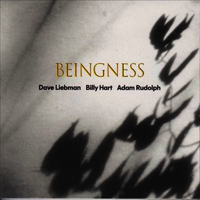 Dave Leibman,Billy Hart,Adam Rudolph — Beingness 앨범 커버
