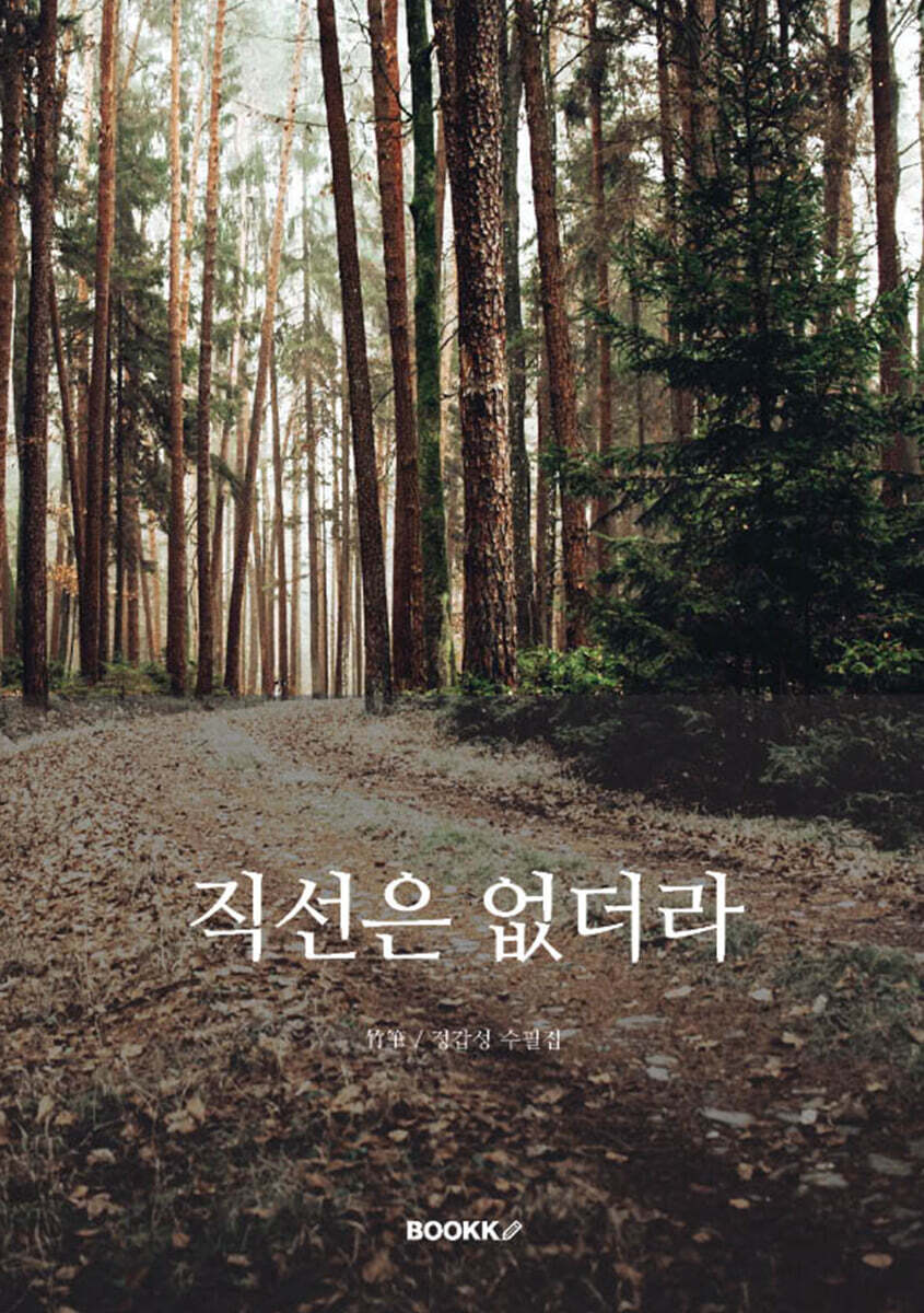 직선은 없더라