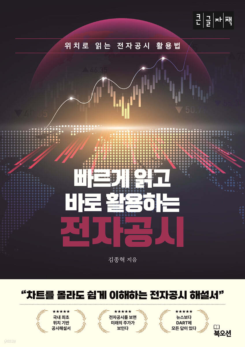 전자공시 (큰글자책)