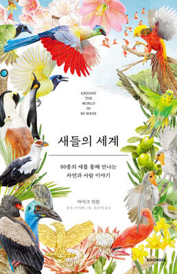 새들의 세계