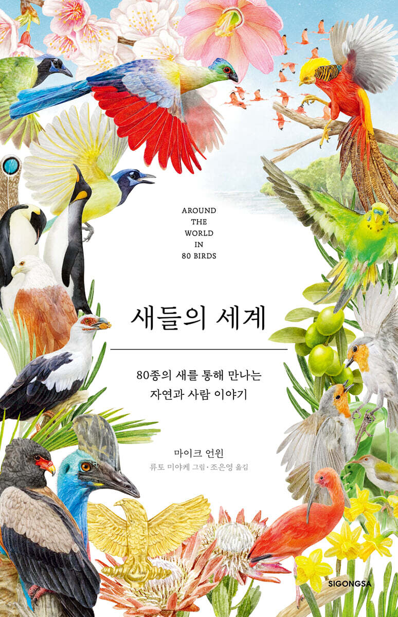 새들의 세계
