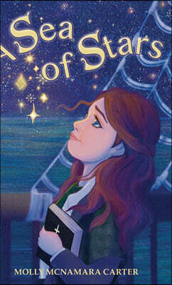 Lawley Enterprises LLC A Sea of Stars