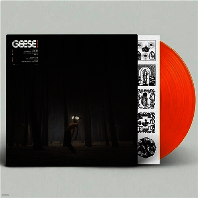 Geese — Projector (US Indie Exclusive) 앨범 커버