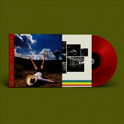 Geese — 3D Country (US Indie Exclusive) 앨범 커버