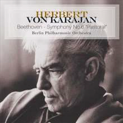 亥:  6 '' (Beethoven: Symphony No.6 'Pastoral') (180g)(LP) - Herbert von Karajan