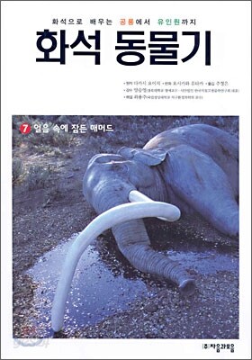 화석동물기 7