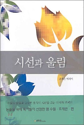 시선과 울림