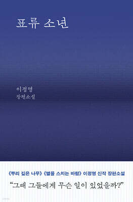 표류 소년