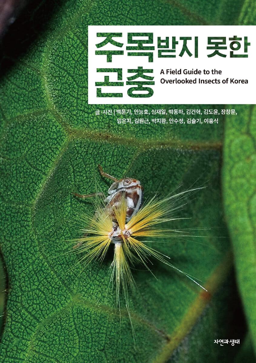 주목받지 못한 곤충