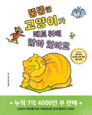 뚱뚱한 고양이가 매트 위에 앉아 있어요