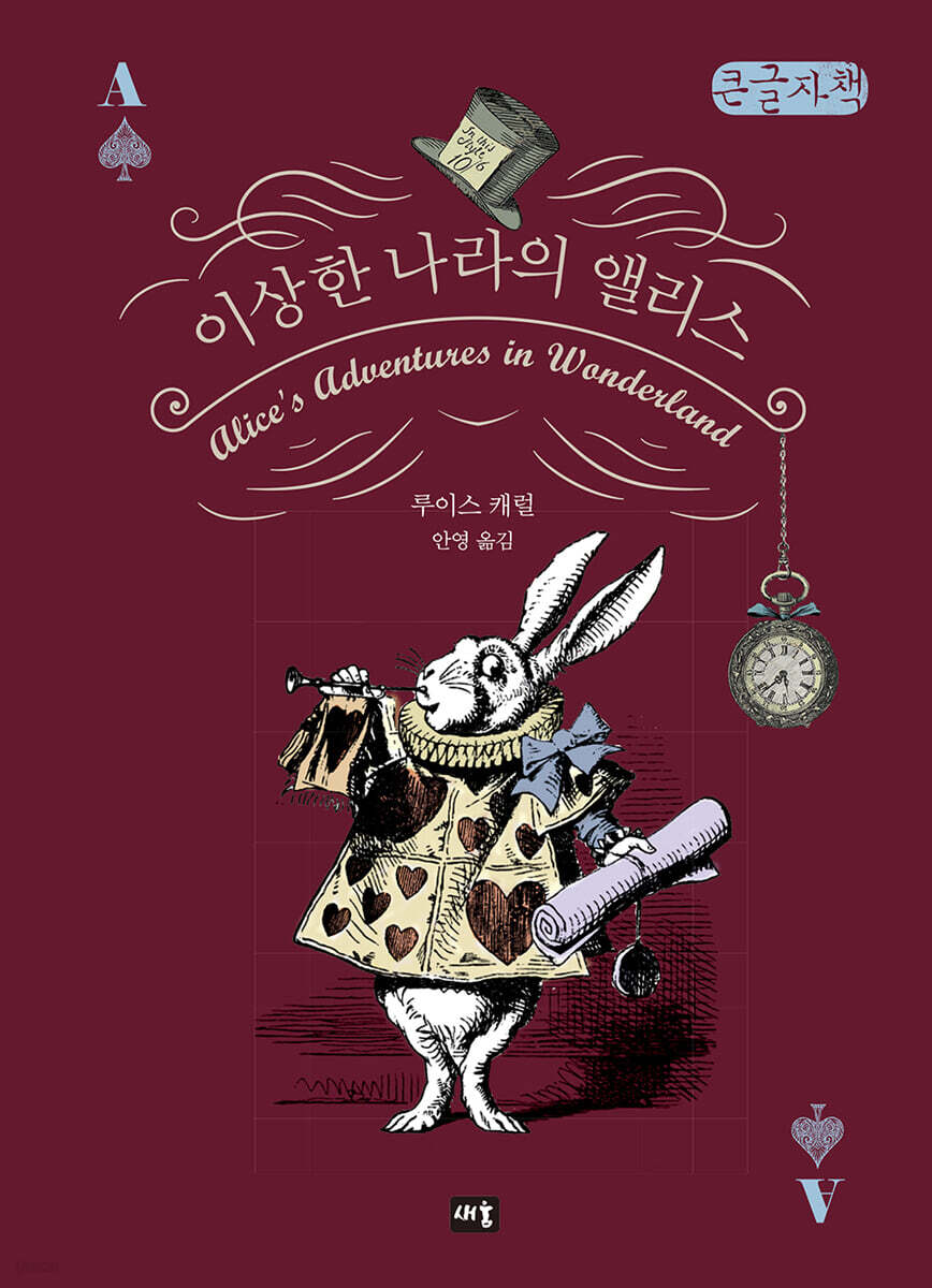 이상한 나라의 앨리스 (큰글자책)