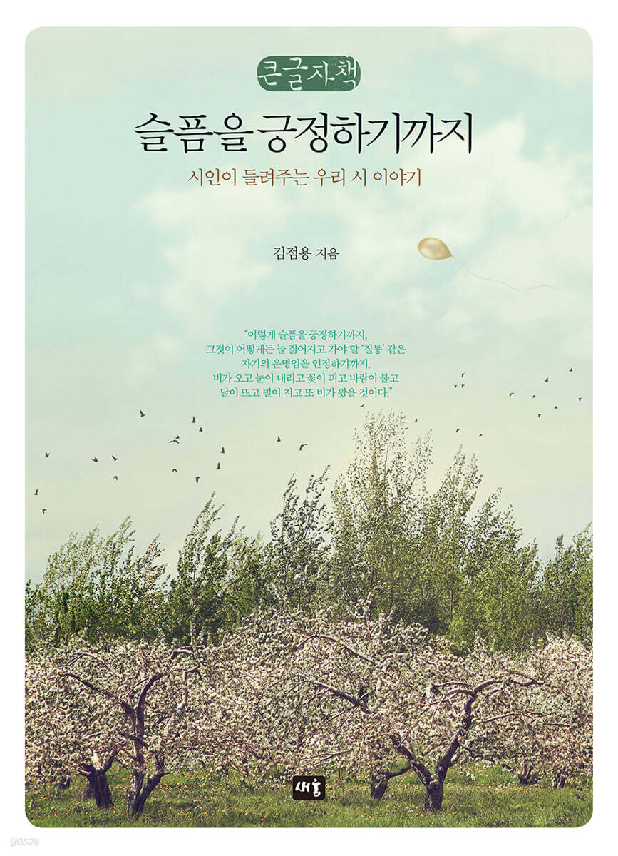 슬픔을 긍정하기까지 (큰글자책)