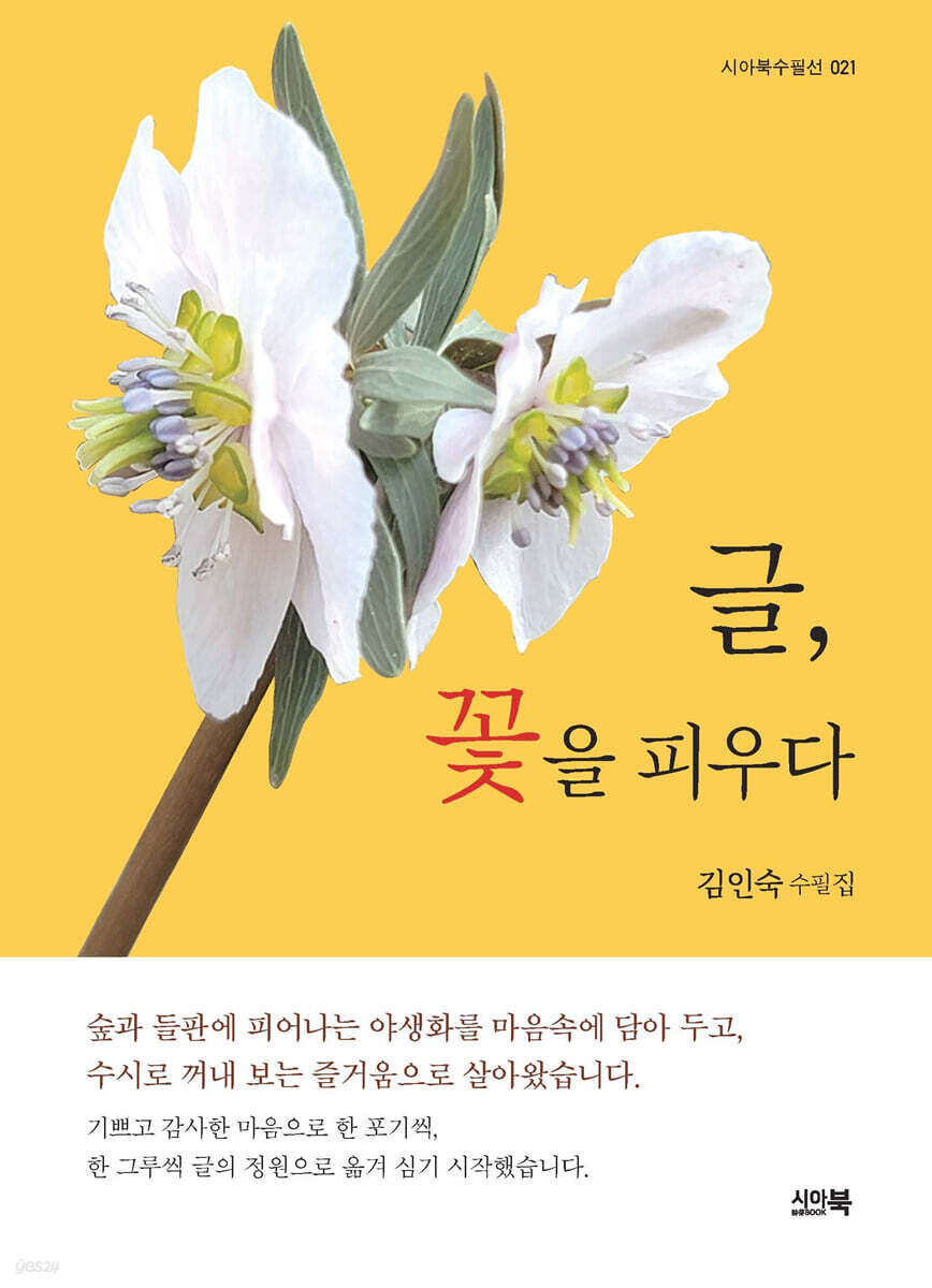 글, 꽃을 피우다