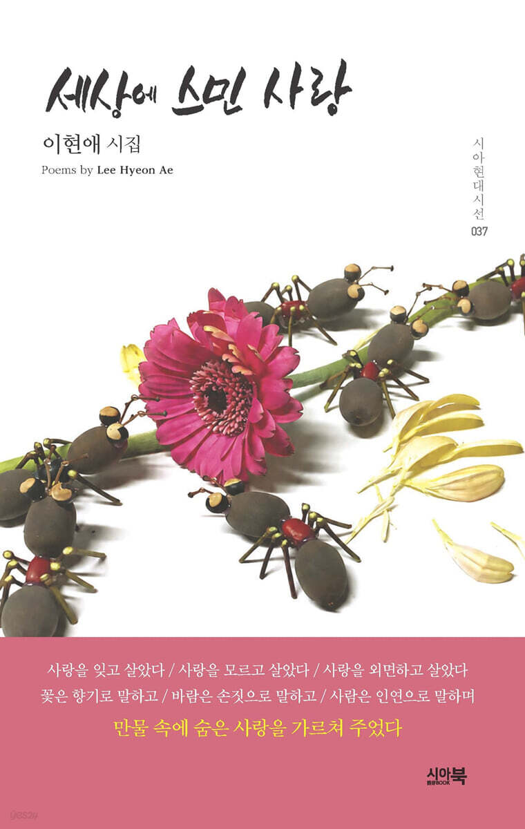 세상에 스민 사랑