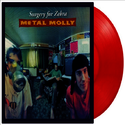 Metal Molly — Surgery For Zebra 앨범 커버