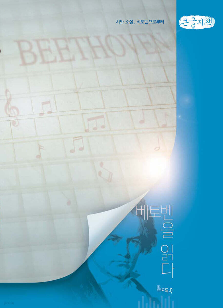 베토벤을 읽다 (큰글자책)