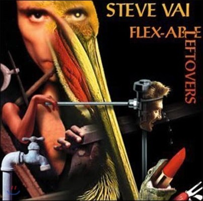 [߰] Steve Vai / Flex Able Leftover ()