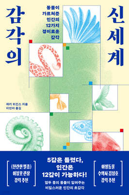 감각의 신세계
