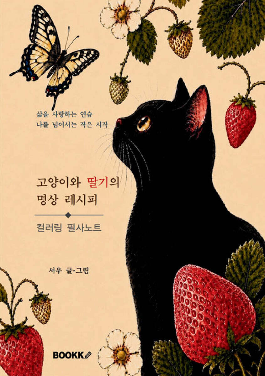 고양이와 딸기의 명상 레시피